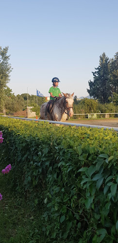 Αθλητικός Ιππικός Όμιλος Λαμίας - Ένωση