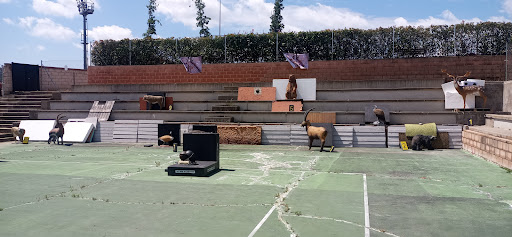 Arqueros de Robledo en Robledo de Chavela, Madrid