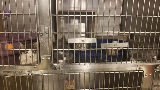 Pet Supply Store «PetSmart», reviews and photos, 5810 Antioch Rd, Merriam, KS 66202, USA