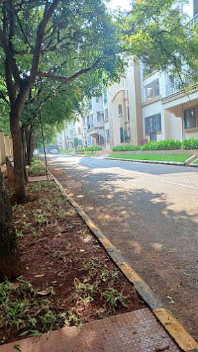 Google Maps image 23