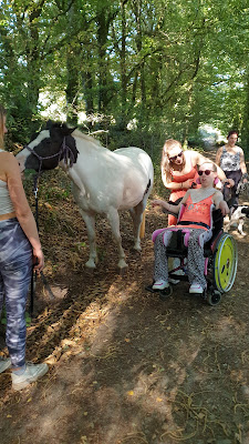 Al'o cheval ici la terre - Médiation Animale à Lanvénégen
