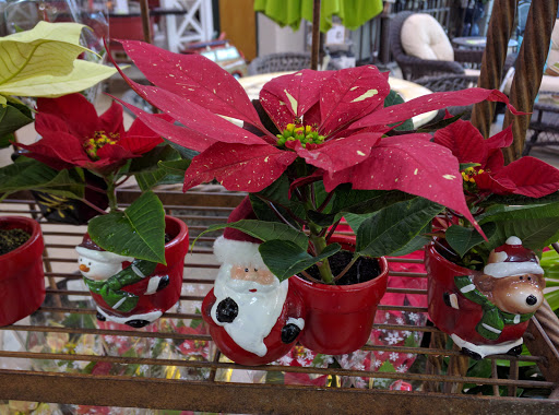 Garden Center «Pike Nurseries», reviews and photos, 6050 Bethelview Rd, Cumming, GA 30040, USA