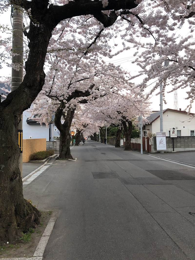 函館 桜が丘通
