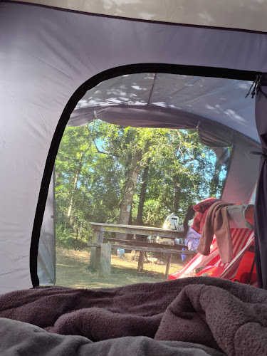 Teléfono de Camping Paso Neruda