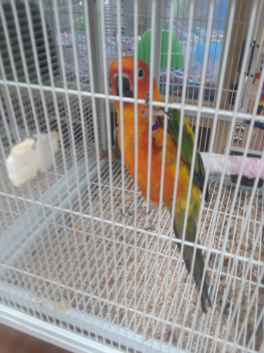 Pet Supply Store «Pet Supermarket», reviews and photos, 4500 N State Rd 7, Pompano Beach, FL 33073, USA