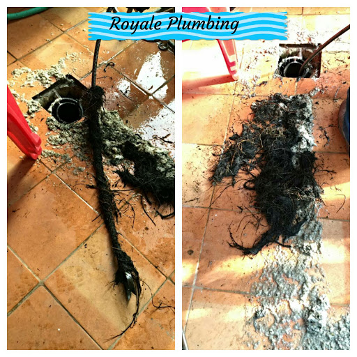 Plumber «Royale Plumbing», reviews and photos, 1045 N Genesee Ave #10, West Hollywood, CA 90046, USA