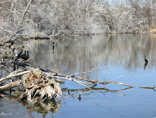 Park «White Rock Lake Park», reviews and photos, E Lawther Dr, Dallas, TX 75218, USA