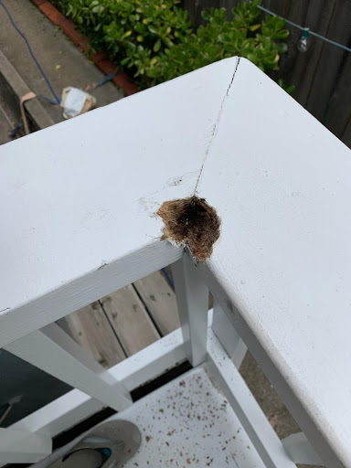 Painter «Royall Painting», reviews and photos, 4064 Gresham St, San Diego, CA 92109, USA