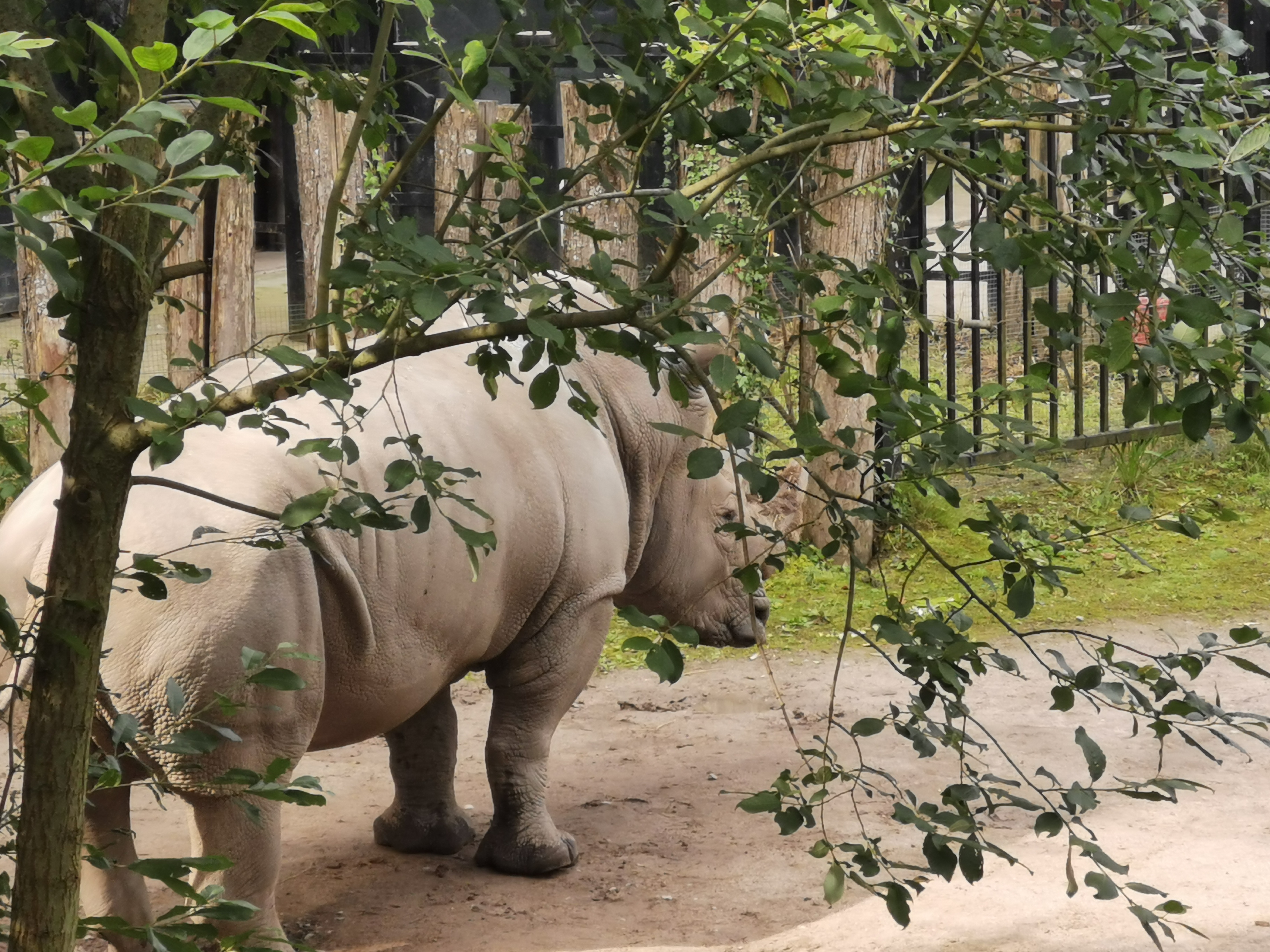 Photo n° 6 de l'avis de Marie.A fait le 11/08/2021 à 10:15
