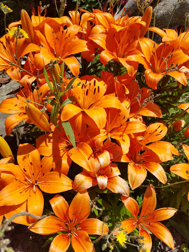 Keepsakes Framing & Floral, 11423 Lebanon Rd, Cincinnati, OH 45241, USA, 