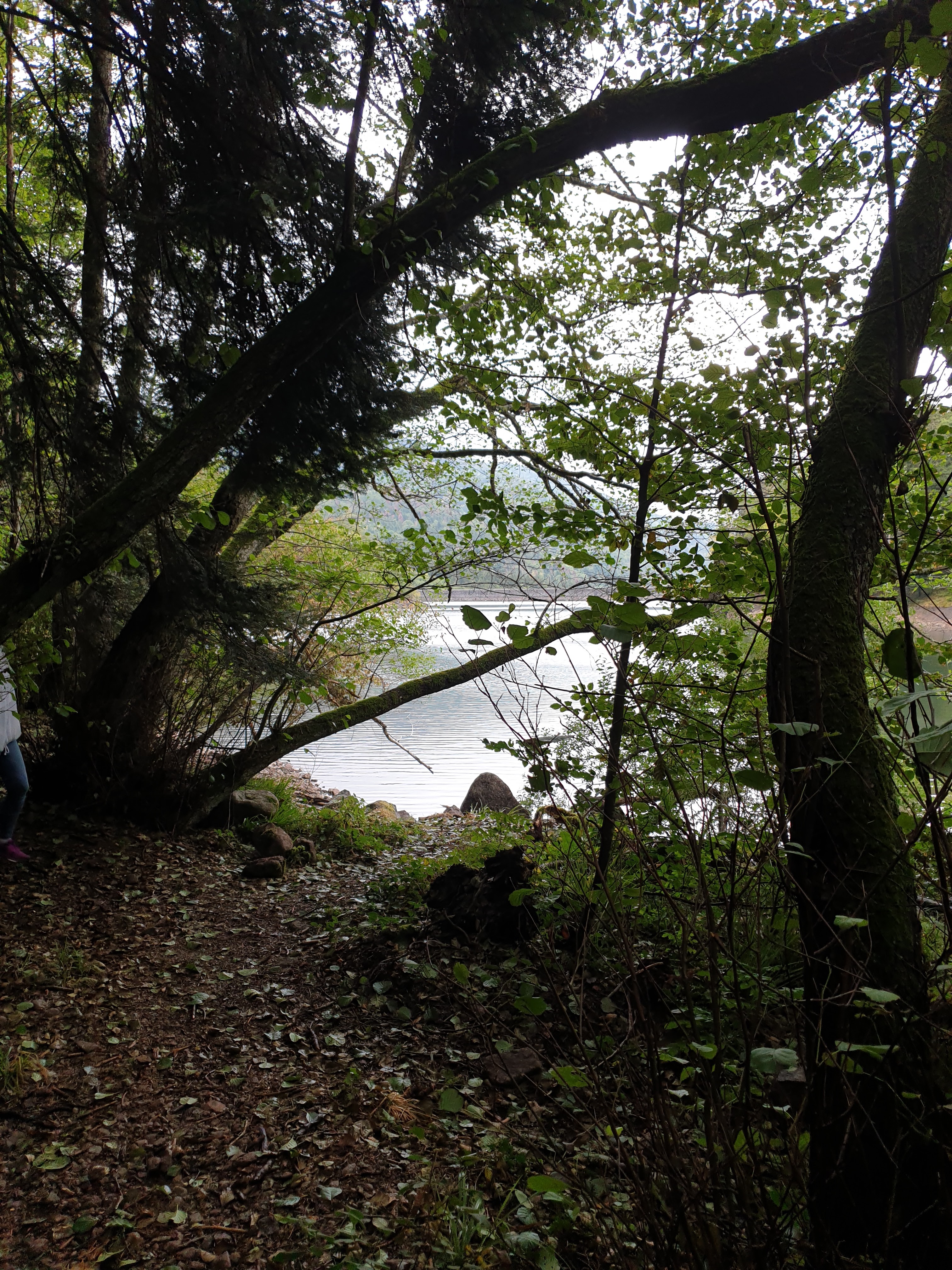 Photo n° 14 de l'avis de Christophe.r fait le 28/07/2019 à 18:55