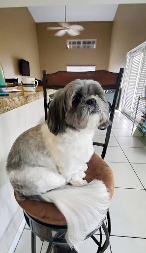 Pet Supply Store «Petco Animal Supplies», reviews and photos, 8164 Mall Pkwy, Lithonia, GA 30038, USA