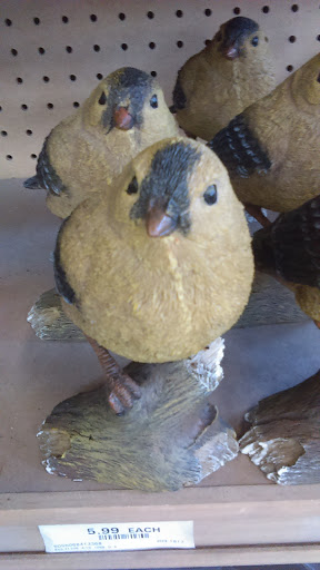 Hardware Store «Orchard Supply Hardware», reviews and photos, 155 Crescent Plaza, Pleasant Hill, CA 94523, USA