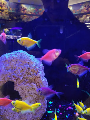 Pet Supply Store «Petco Animal Supplies», reviews and photos, 10 Waterfront Pl, Port Chester, NY 10573, USA