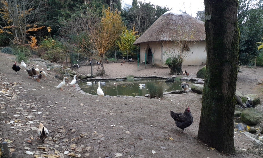 Photo n° 10 de l'avis de Doume. fait le 13/12/2019 à 18:34