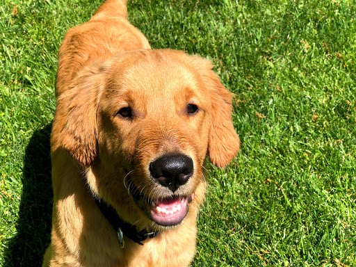 Forum Veterinary Clinic image