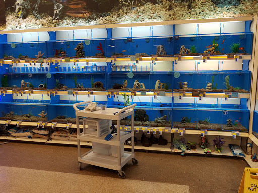 Pet Supply Store «PetSmart», reviews and photos, 6622 Charlotte Pike Suite 108, Nashville, TN 37209, USA