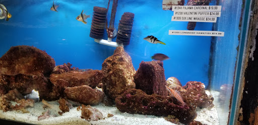 Tropical Fish Store «Two Turtles Pet Center», reviews and photos, 760 W Market St, Akron, OH 44303, USA