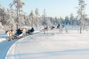 Salla Wilderness Park, Salla Reindeer Park image