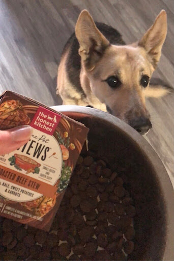 Pet Supply Store «Pet Supplies Plus», reviews and photos, 9430 W 159th St, Orland Park, IL 60467, USA