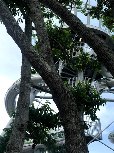 Movie Theater «AMC Aventura 24», reviews and photos, 19501 Biscayne Blvd #3001, Aventura, FL 33180, USA