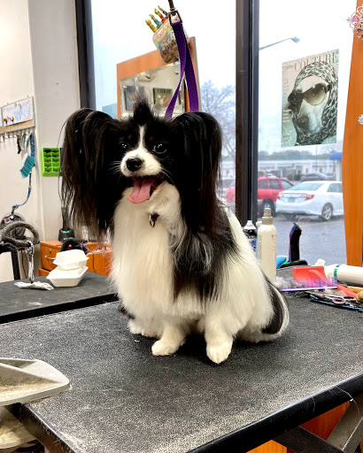 Pet Supply Store «Pet Supplies Plus», reviews and photos, 5394 Kemps River Dr Suite 101, Virginia Beach, VA 23464, USA