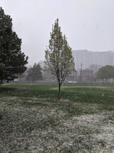 Park «Benedict Fountain Park», reviews and photos, 401 E 20th Ave, Denver, CO 80205, USA