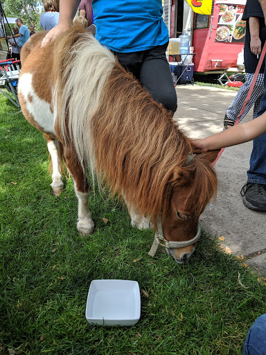 Park «Acacia Park», reviews and photos, 115 E Platte Ave, Colorado Springs, CO 80903, USA