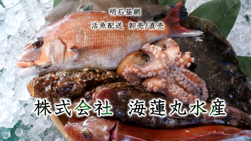 明石昼網直売所 (株)海蓮丸水産