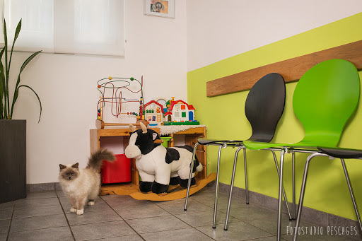 Veterinarian Dr. K. Köster unter Bedburg-Hau, 