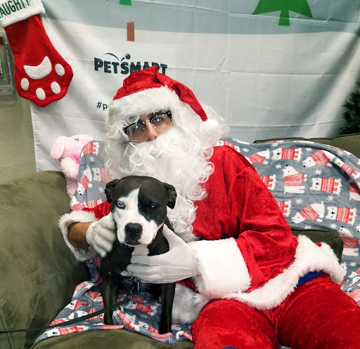 Pet Supply Store «PetSmart», reviews and photos, 7850 W Commercial Blvd, Lauderhill, FL 33351, USA