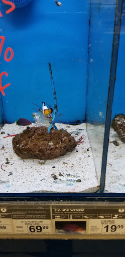 Pet Supply Store «Petco Animal Supplies», reviews and photos, 3430 W State St, Grand Island, NE 68803, USA