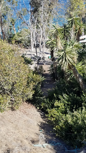 Gift Shop «Two Harbors General Store», reviews and photos, 1 Banning House Rd, Avalon, CA 90704, USA