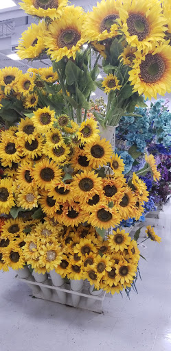 Craft Store «Michaels», reviews and photos, 2540 S Pleasant Valley Rd, Winchester, VA 22601, USA