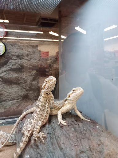 Pet Supply Store «Petco Animal Supplies», reviews and photos, 2230 Marlton Pike W #3, Cherry Hill, NJ 08002, USA