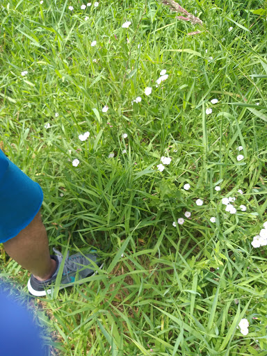 Farm «Bella Organic Farm», reviews and photos, 16205 NW Gillihan Rd, Portland, OR 97231, USA