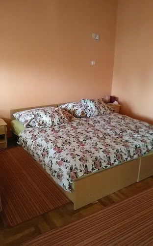 Comentarii opinii despre Németh Apartman