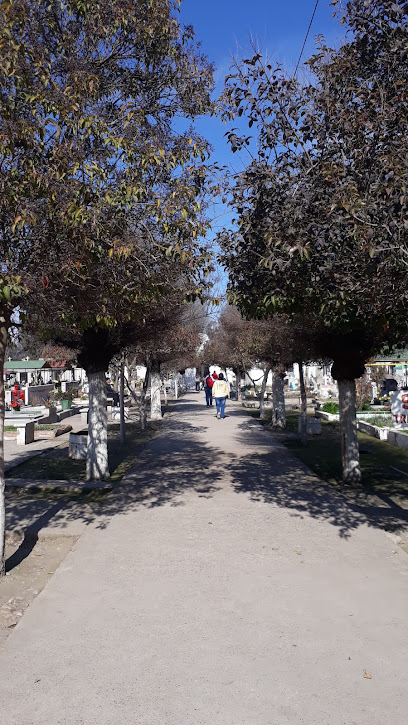 Cementerio de Paine