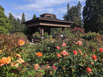 Point Defiance Rose Garden in Point Defiance Park