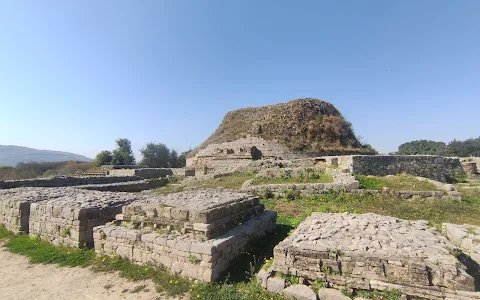 Dharmarajika Stupa And Monastery image