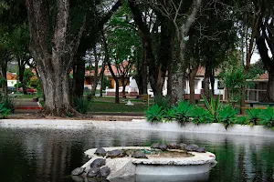 Praça Da Lagoa image