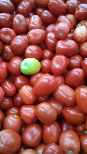 Supermarket «Walmart Neighborhood Market», reviews and photos, 1551 N Zaragoza Rd, El Paso, TX 79936, USA