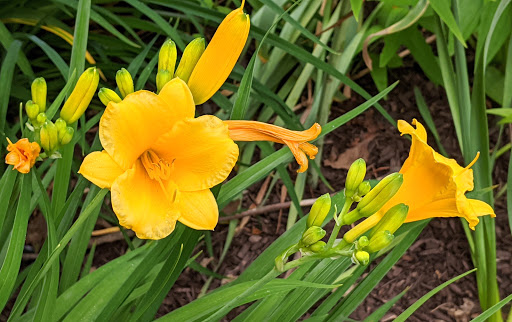 Bicycle Store «Clinton Bicycle Shop LLC», reviews and photos, 51 W Main St, Clinton, NJ 08809, USA