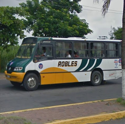 Terminal de Autobuses Los Robles R80
