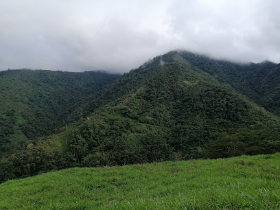 San Jose Del Palmar Choco Main Park - Unnamed Road, San José Del Palmar, Chocó, Colombia