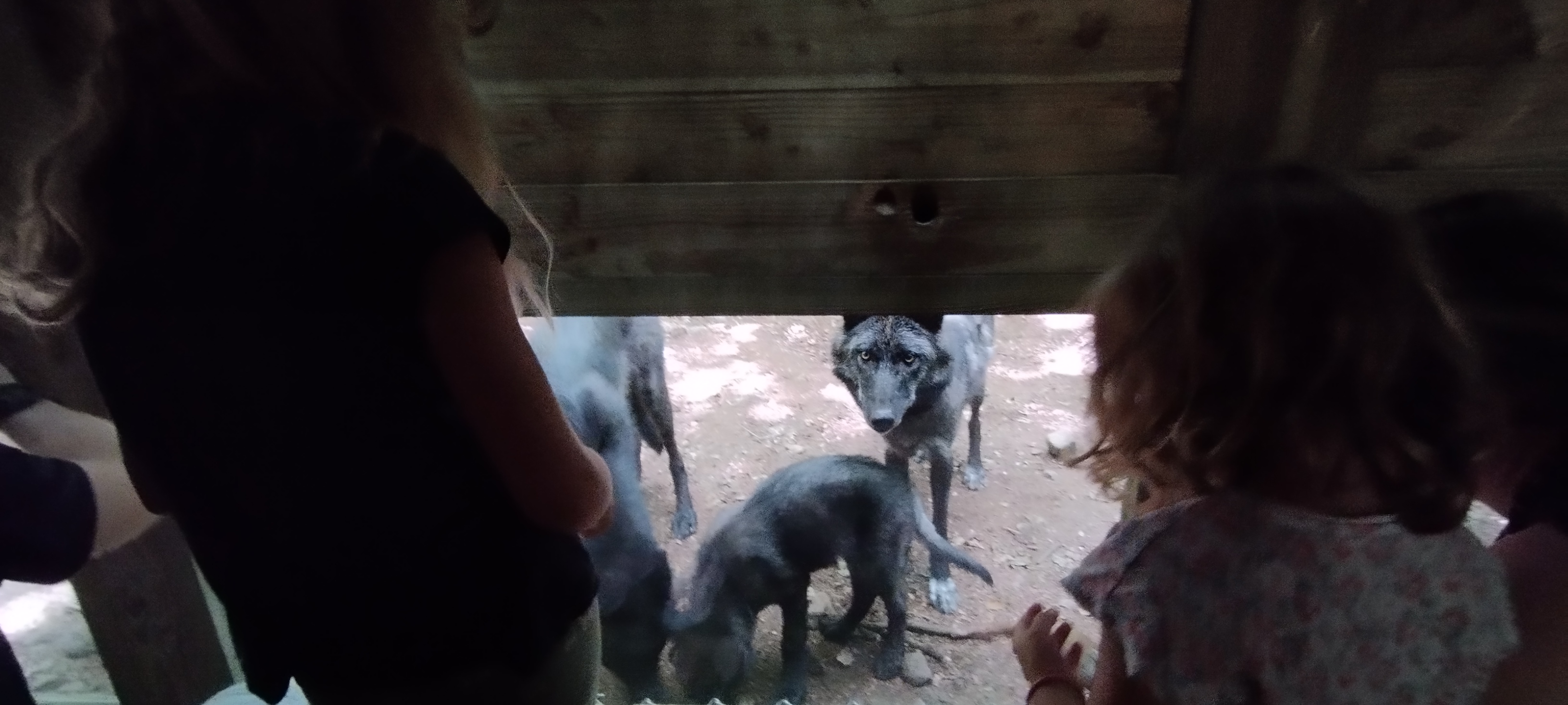 Photo n° 7 de l'avis de Fabrice.e fait le 19/08/2023 à 21:56