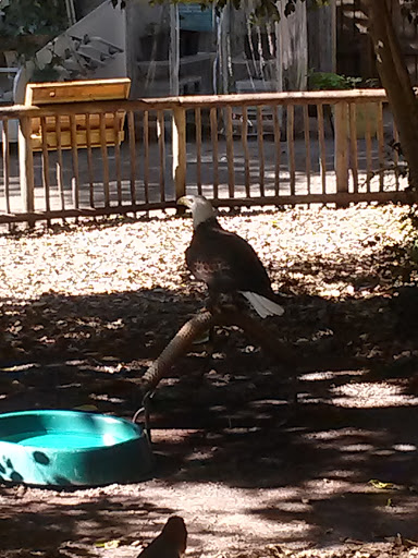 Animal Rescue Service «McCarthys Wildlife Sanctuary», reviews and photos, 12943 61st St N, West Palm Beach, FL 33412, USA