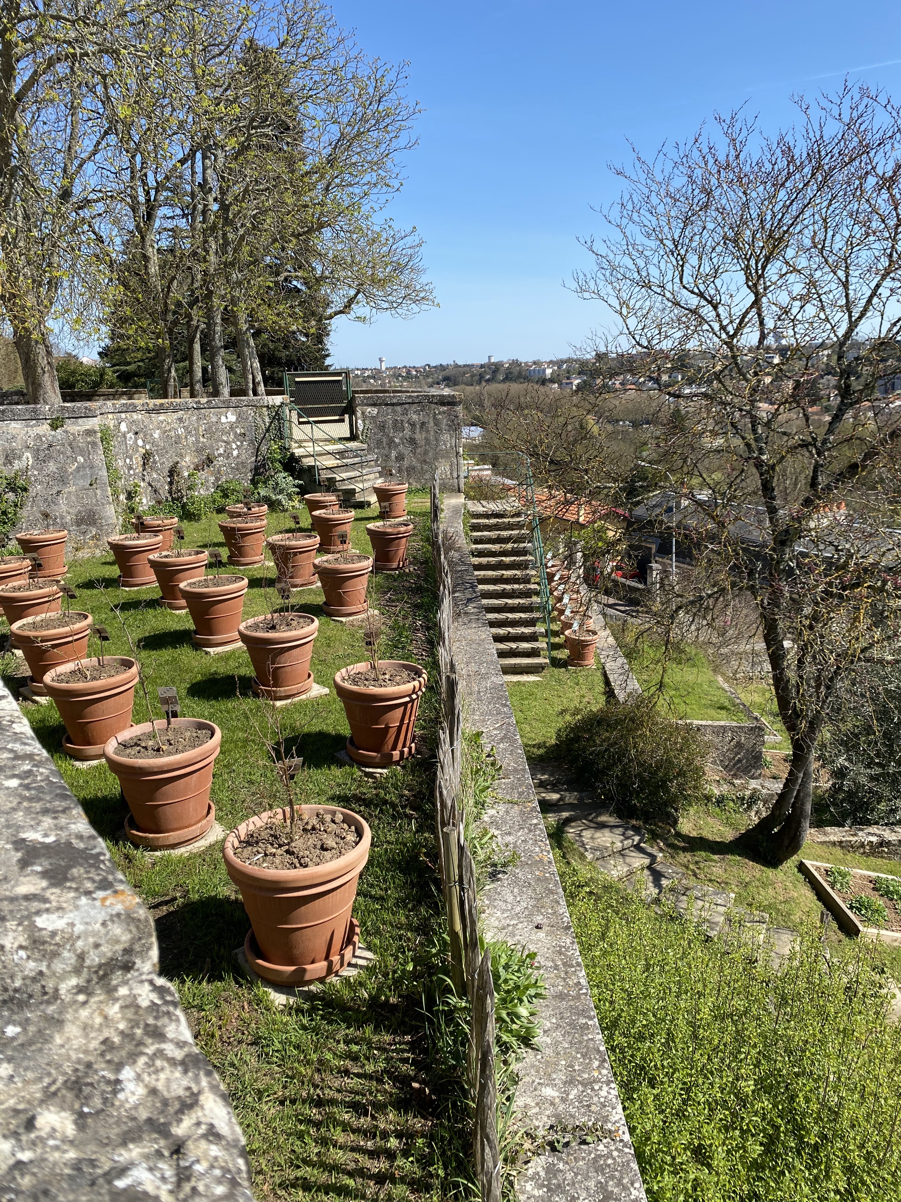 Photo n° 8 de l'avis de Marylène.u fait le 22/03/2022 à 17:15
