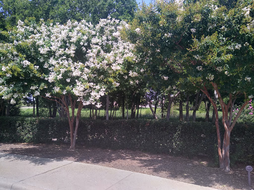 Park «The Crape Myrtle Trails of McKinney», reviews and photos, 6452 Collin McKinney Pkwy, McKinney, TX 75070, USA