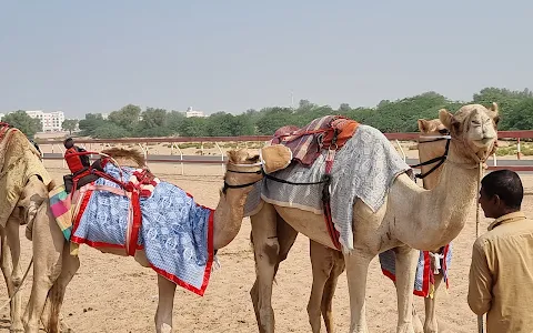 Al Tallah Camel Race Course image